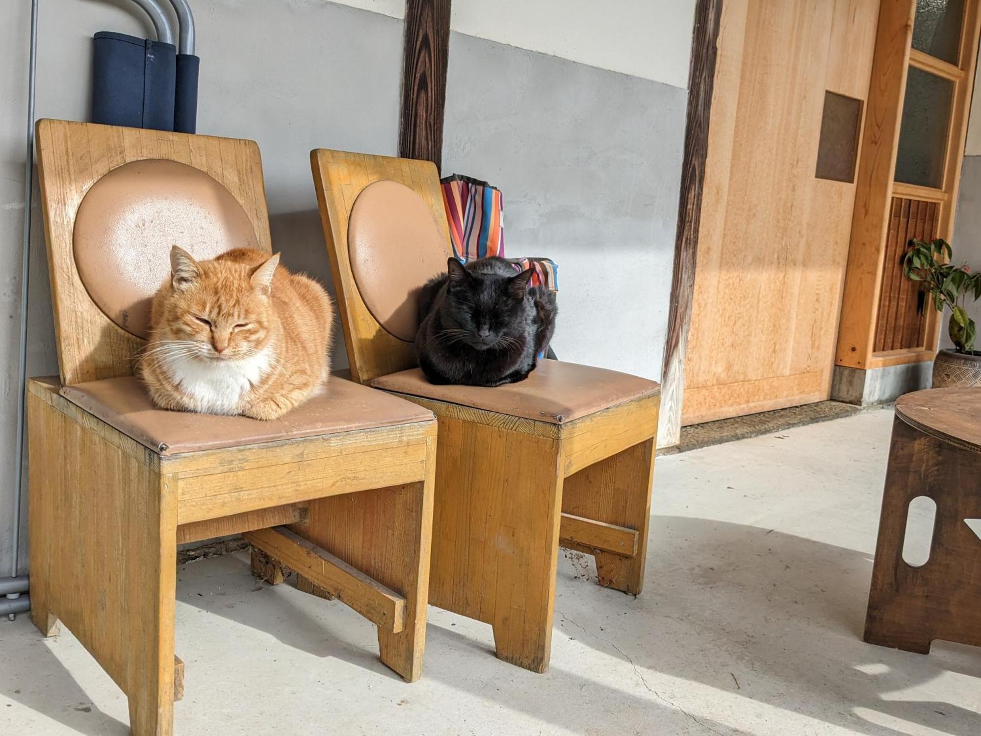 猫と図書館のある宿 草地家 Kusachike Minamiawaji Ngoại thất bức ảnh